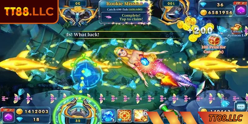 Cơ hội trải nghiệm công bằng cho bất kỳ bet thủ