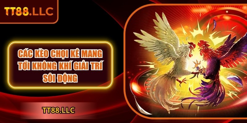 TT88 | TT 88 | Nhà Cái TT88.COM Nổ Hũ Đẳng Cấp Nhất Việt Nam 11/2025 35 Các kèo chọi kê mang tới không khí giải trí sôi động